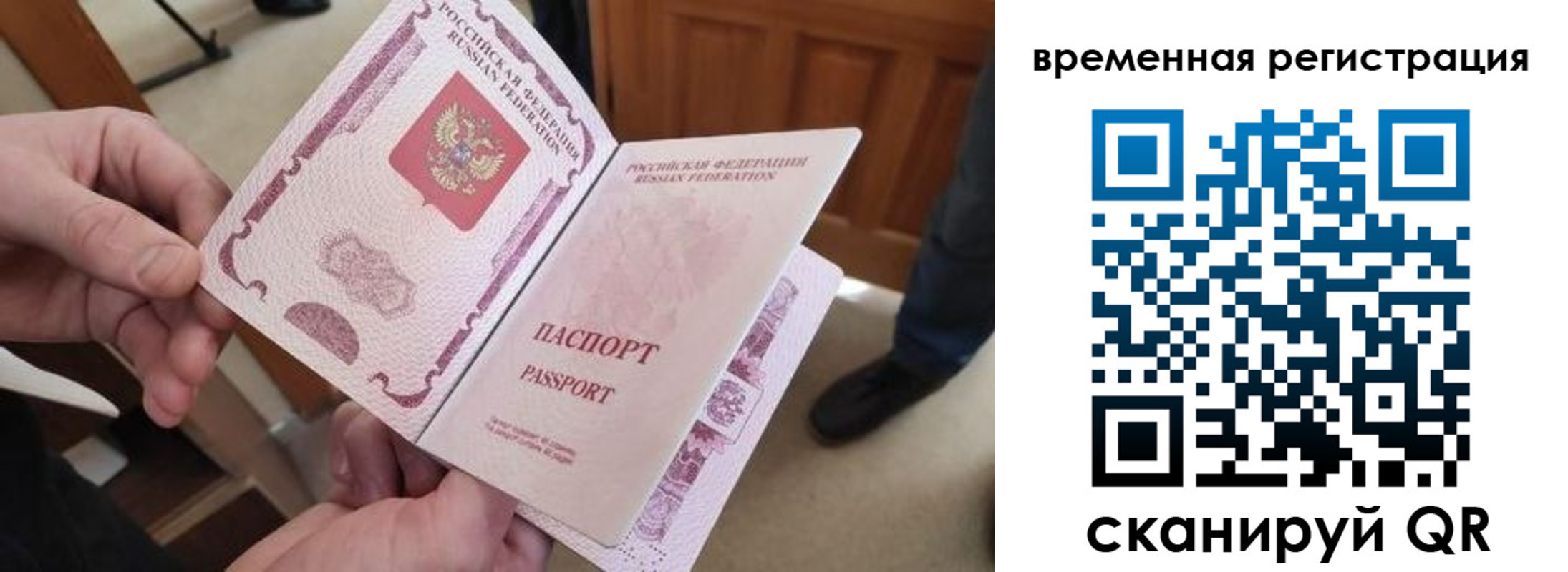 временная регистрация поиск в Звенигово