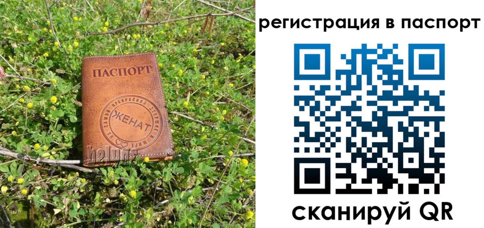 прописка законно в Звенигово